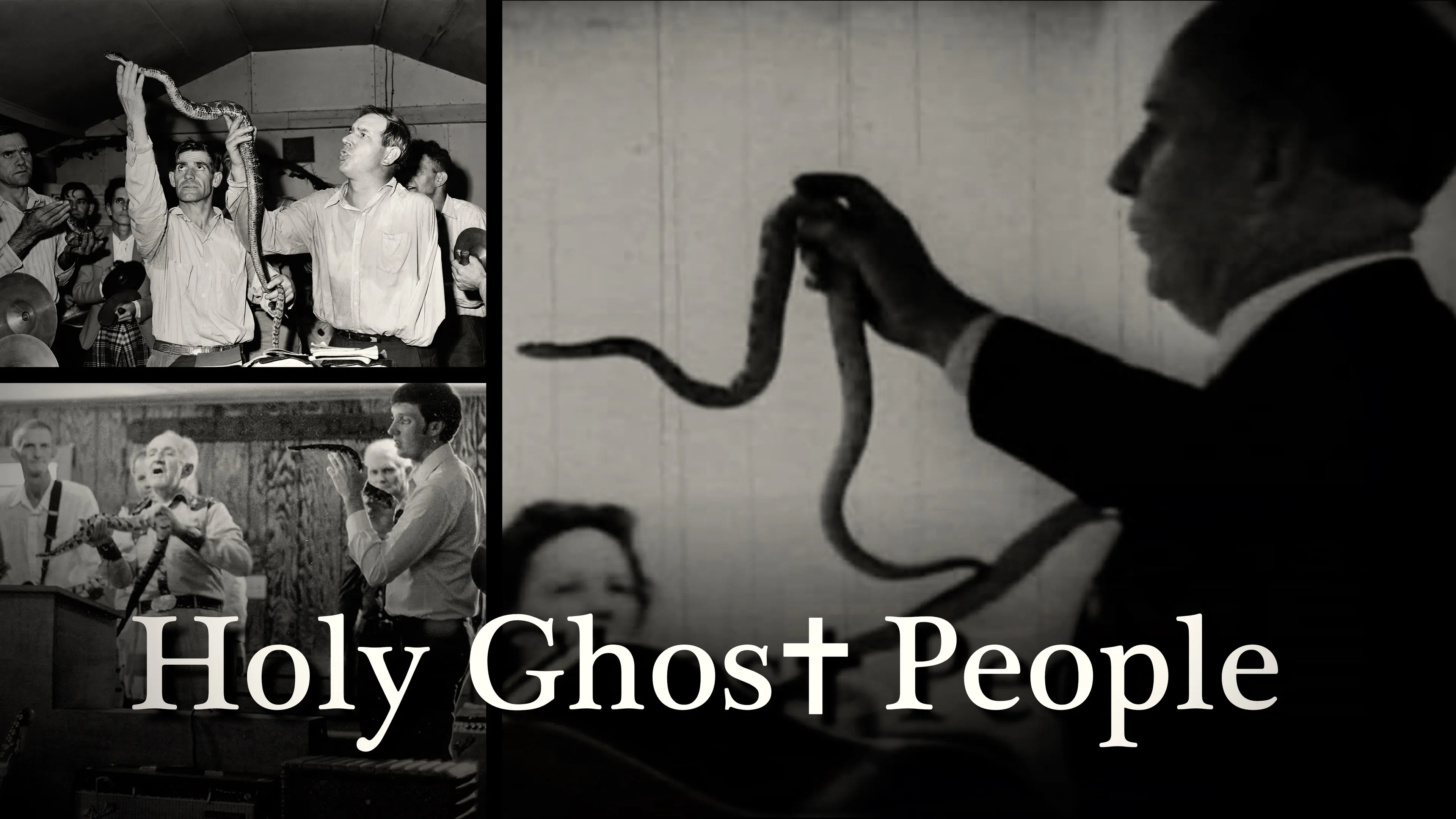 Title poster image